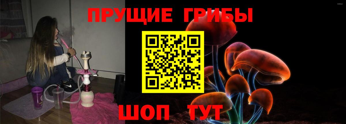 Котельники  где можно купить   Вход с VPN  Галлюциногенные грибы Psilocybine cubensis  Псилоцибиновые грибы ЛСД 